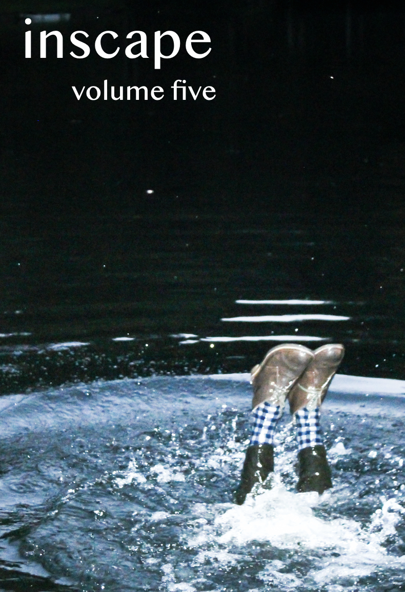VOLUME 5